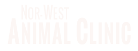 Nor-West Animal Clinic